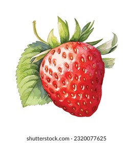 Watercolor red strawberry illustration isolated on white background. Vector illustration of berries, vector strawberry
