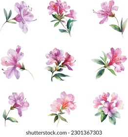 Watercolor rhododendron flowers set, hand painted isolated on white background