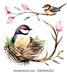 a watercolor romantic birds nest vector illustration wallpaper