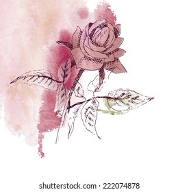Watercolor Rose