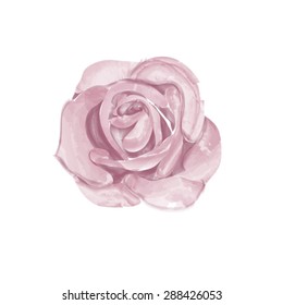 Watercolor rose