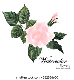 Watercolor Rose background text. Hand painting. Illustration for greeting cards, invitations, and other printing projects.