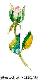 
watercolor rose bud with leaves, design element isolated on white background, vector illustration