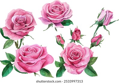 aquarela rosa flor clip art