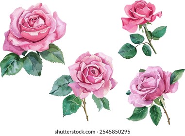 watercolor rose flower clip art