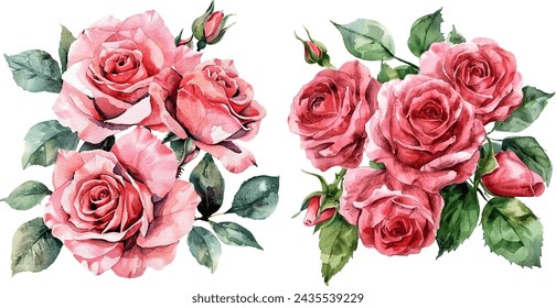 Watercolor rose flower clipart for graphic resources. beautiful flower vector illustration. Design for wedding invitation