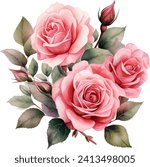 Watercolor rose flower clipart. Watercolour floral illustration