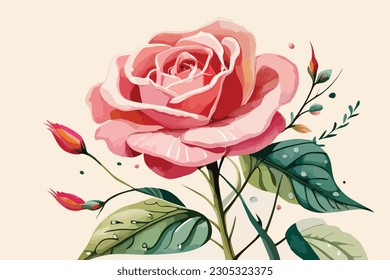 Watercolor Rose Flower Editable vactor illustration