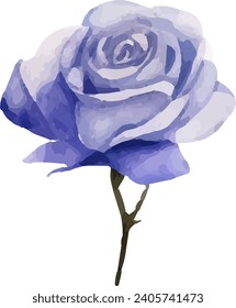 watercolor rose Flower illustration design