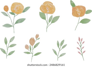 Watercolor rose flowers and leaves illustration set - green leaf branches collection for wedding, greetings, stationary, wallpapers, fashion, background. olive, green leaves, Eucalyptus etc