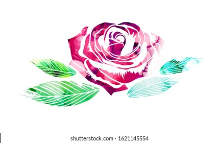 Watercolor rose. Mixed media. Vector illustration