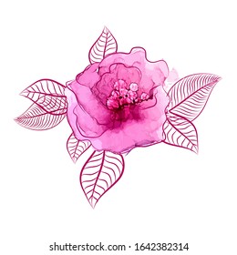 Watercolor rose. Mixed media. Vector illustration