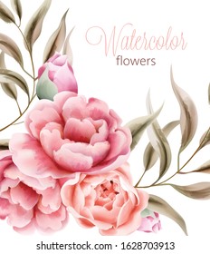 Watercolor rose peonies flowers with brown leaves on background