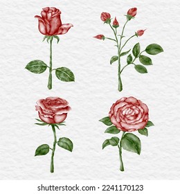 watercolor rose red collection set