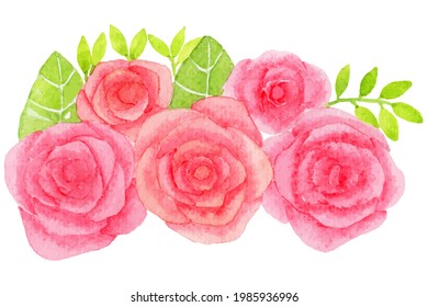WaterColor Rose Red Pink. Happy Valentine's day concept.