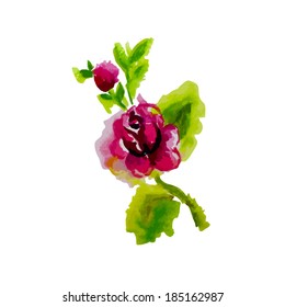 Watercolor rose. Vector