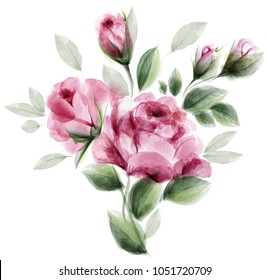 Watercolor roses. Bouquet of flowers painted with brush on white background. Vector blurred peony rose