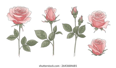 Aquarela de diferentes formas e tamanhos conjunto de arranjo de design floral isolado