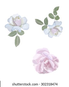 6,056 Pink Watercolour Vector Flowers Images, Stock Photos & Vectors ...