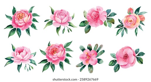 Watercolor roses flowers, leaves. Elegant Watercolor Floral roses on a branch.