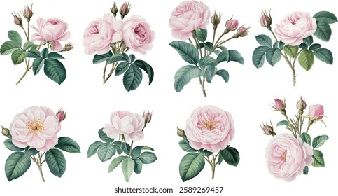 Watercolor roses flowers, leaves. Elegant Watercolor Floral Bouquets.