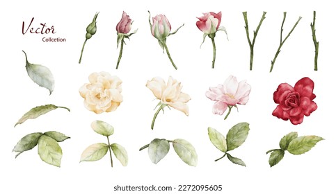 Watercolor roses illustration set. Vector roses flower and green leaves elements collection on white background. Suitable for decoration, bouquet, wreath, arrangement, wedding, or invitation card.