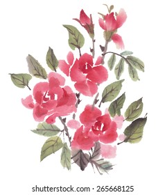 Watercolor  roses  isolated on a white background.  Vector illustration.