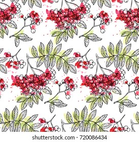 Watercolor Rowan seamless pattern. Hand drawn nature painting. Freehand ink and pen sketched illustration. 