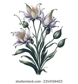 Watercolor Royal Lily Vector: This captivating watercolor artwork beautifully captures the regal elegance of the Royal Lily. Whether used for prints, stationery, or home decor.