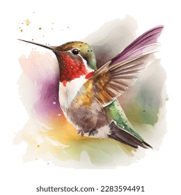 watercolor ruby  throated hummingbird  Vector illustration for greeting cards  invitations    other printing   web projects 