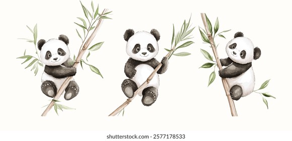 Watercolor Safari Animal Illustrations Panda. Cute Safari Wildlife Watercolor Paintings Collection