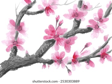 Watercolor Sakura Blossom - Japanese Cherry Tree. Artistic Branch Plum Blossom.