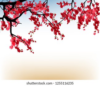 Watercolor sakura frame 2019. Background with blossom cherry tree branches. Hand drawn japanese flowers background