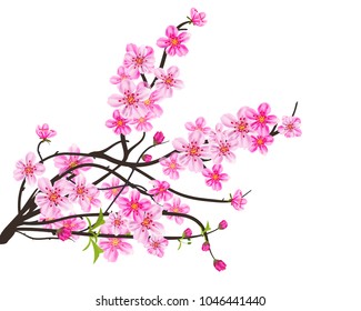 Watercolor sakura frame. Background with blossom cherry tree branches. Hand drawn japanese flowers