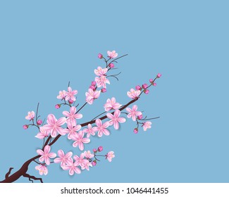 Watercolor sakura frame. Background with blossom cherry tree branches. Hand drawn japanese flowers