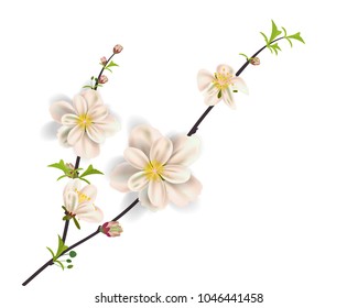 Watercolor sakura frame. Background with blossom cherry tree branches. Hand drawn japanese flowers