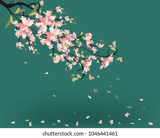 Watercolor sakura frame. Background with blossom cherry tree branches. Hand drawn japanese flowers