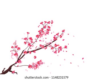 Watercolor sakura frame. Background with blossom cherry tree branches. Hand drawn japanese flowers background