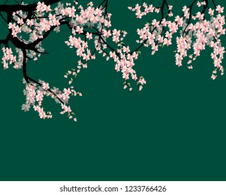 Watercolor sakura frame. Background with blossom cherry tree branches for new year 2019