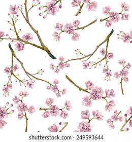 Watercolor sakura pattern. Seamless natural texture with blossom cherry tree branches. Hand drawn japanese flowers on white background