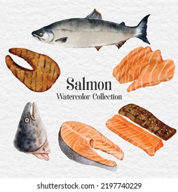 watercolor salmon meat clip art illustration