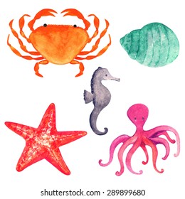 Watercolor sea animals cartoon set, crab, starfish, shell, octopus, sea horse closeup isolated on white background. Hand painting on paper