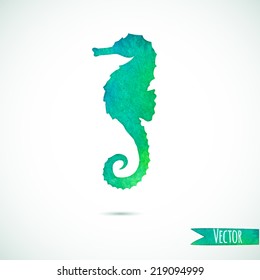 Watercolor sea horse isolated on wight
