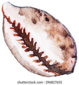 Watercolor sea shell vector isolated clip art