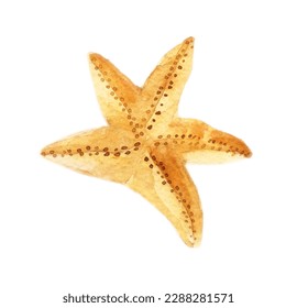 Watercolor sea star. Hand-drawn illustration isolated on the white background