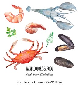 Watercolor seafood  set. Hand drawn mussel shells, shrimps, crab, lobster, parsley, thyme, dill isolated on white background. Vector food and spices herbs illustrations