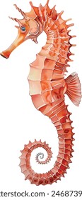 Watercolor seahorse isolated on white background, vector illustration