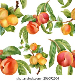 Watercolor seamless apricots and peaches pattern on white background, vector
