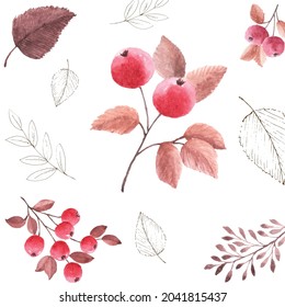 Watercolor seamless pattern autumn leaves on a white background. Watercolor hand-painted with rowan berries art design for decorative in the autumn festival, invitations, cards, wallpaper; packaging.