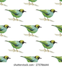 Watercolor seamless pattern with  birds. Vector illustration 